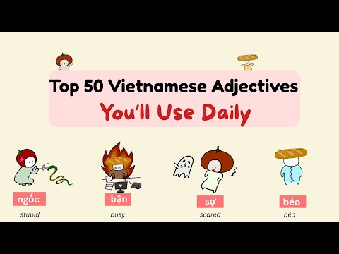 Top 50 common Vietnamese Adjectives You’ll Use Daily