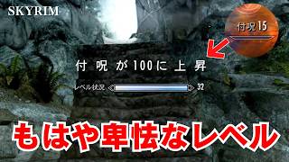 付呪スキルが一気に100になるらしい…「異常な経験値」の噂を検証してみた【スカイリムAE】