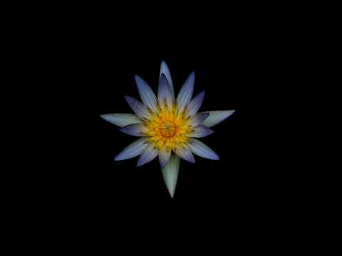 Erkenne Dich Selbst - Ich bin Gewahrsein - Meditation - von Felix Scheffel