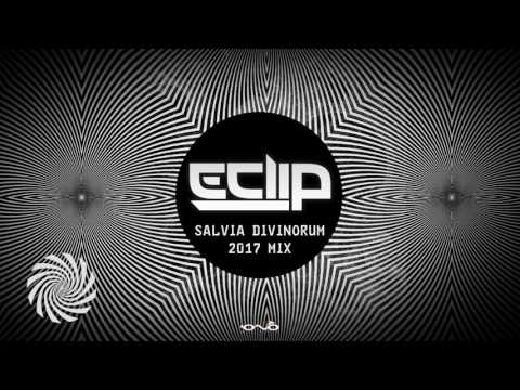 E-Clip - Salvia Divinorum (2017 Mix)