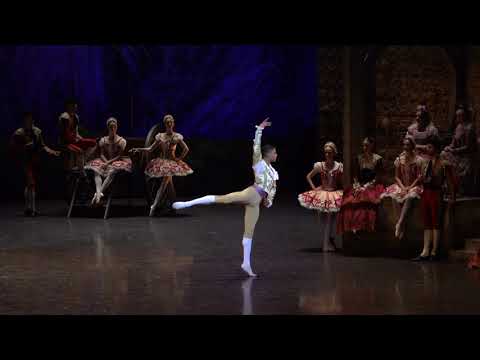 Guillaume Diop as Basilio in "Don Quixote" by Rudolf Nureyev (variation 2/2)