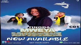 Download lagu Mangwanani tinorumbidza Mwari mp3