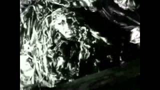 Strapping Young Lad - All Hail The New Flesh Remix (amateur music video)