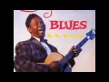 BB King   Inflation Blues E