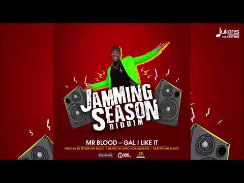 Mr Blood - Gal I Like It  (Jamming Season Riddim) "2020 Soca" (Barabdos)