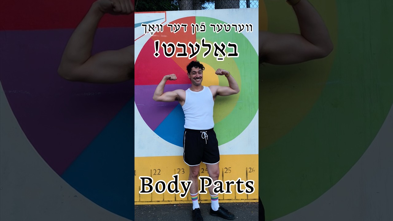 <p>Body Parts | קערפּערטיילן</p>

