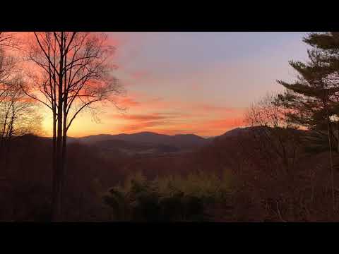 孤独について (On Loneliness)