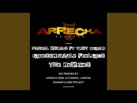 Indescribable Feelings (Baainar & Azee Project Remix)