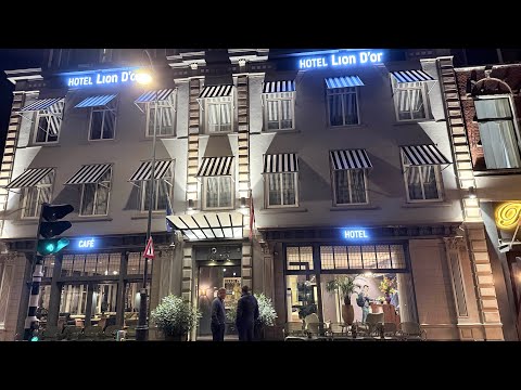 Hotel Lion D'or Haarlem