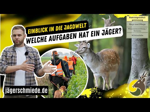 Welche Aufgaben hat ein Jäger? → Die Vielseitigkeit der Jagd erklärt