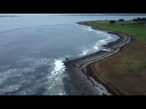 DJI Mini 2 - Cinematic 4K Video - Holbæk Golf Course '