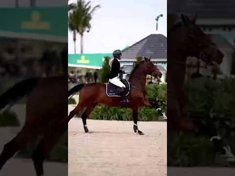 Equestrian Show Jumping 🐎✨#Equestrias #ShowJumping #EquestrianLife #HorseLovers #JumpingHorse