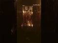 TTD Live Darshan Today Tirupati Venkateshwara Swamy Govinda Shorts Ytshorts Youtubeshorts