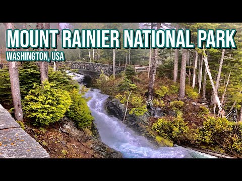 Mt. Rainier WATERFALL Hike - Narada Falls - Full Hike