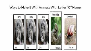 Fun With Numbers by Adding Ways to Make 5 With Animals With Letter C Name #4