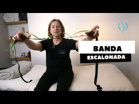 BANDA E