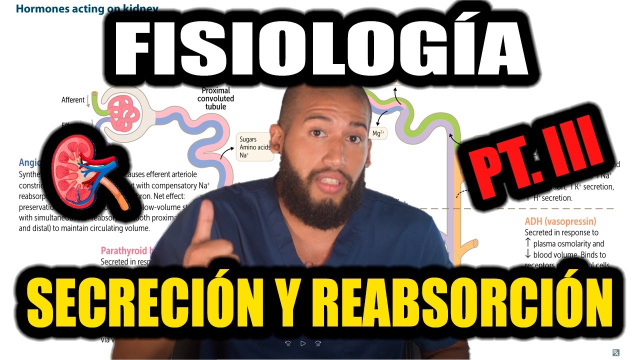 Fisiología Renal Pt. III - Reabsorción y Secreción Tubular (Mecanismos Básicos de Transporte Renal)
