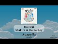 Dai Dai - Shakira & Burna Boy ~ Acapella + Download