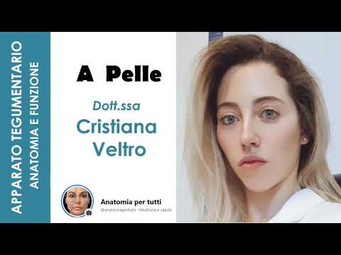 L'APPARATO TEGUMENTARIO