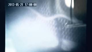 Mira Charleston Harbor Wine Retrieval