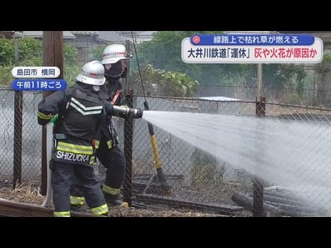 YouTube Video 大井川鉄道　沿線の枯れ草火災の影響で全線で運転を見合わせ　静岡・島田市