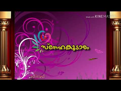 Chinchu maria birthday