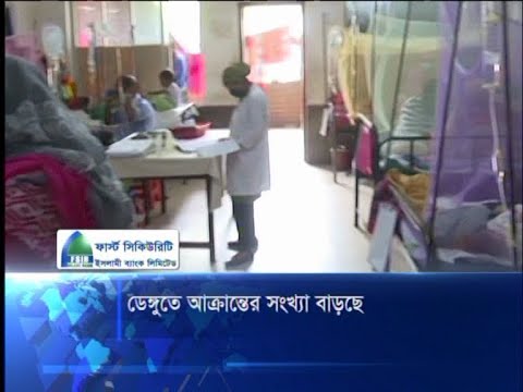 ডেঙ্গুতে আক্রান্তের সংখ্যা বাড়ছে