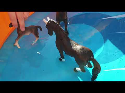 The Water Park Pt.1 - A Schleich Horse Video