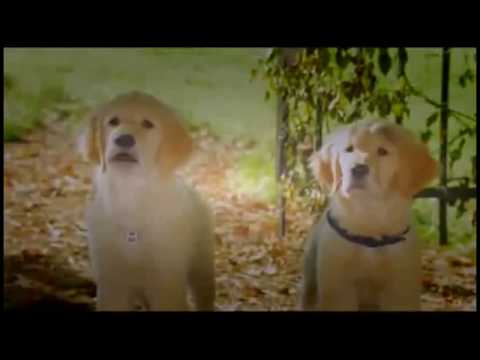 B-Dawg the Magnificent Part 17 - Poor Luna