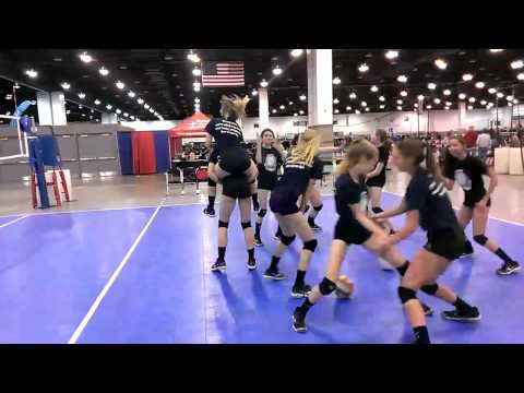 Fusion 14 Harlem Shake