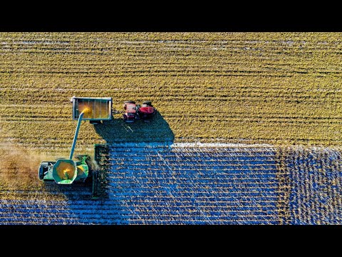 Aligning voices for a sustainable food system