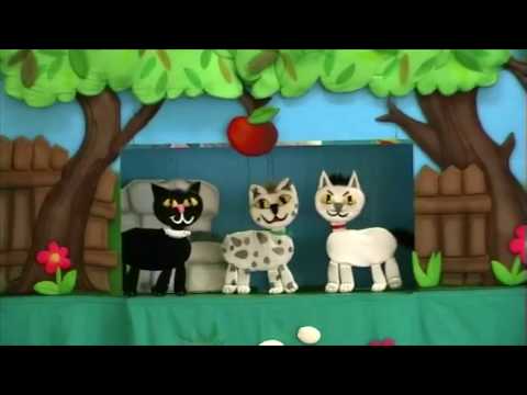 Produkcija Z - TRI MAČKE - info video