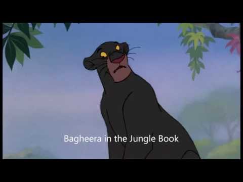 Voice Actor Facts #72   Sebastian Cobat and Phil Harris