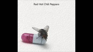 love of your life By Red Hot Chili Peppers