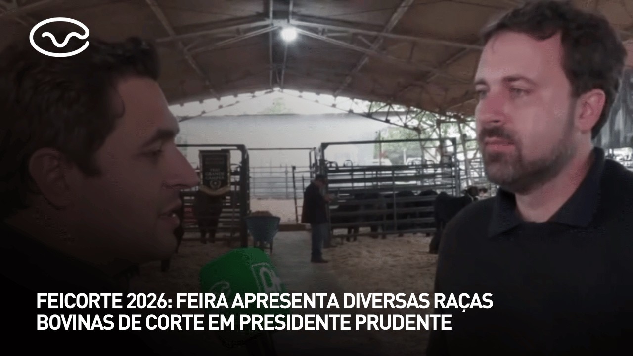 Feira apresenta diversas raças bovinas de corte em Presidente Prudente