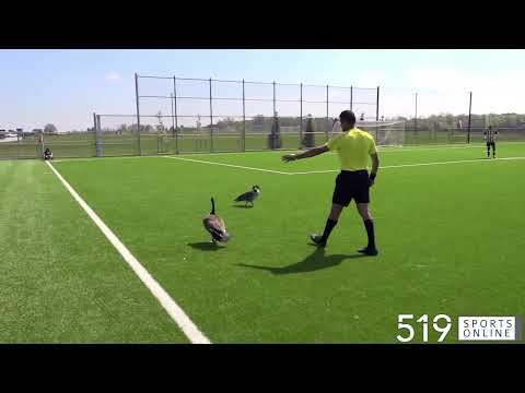 A truly Canadian delay in the WCSSAA senior boys soccer final