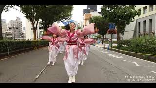 #想叶縁来奏　Twilight Hope　富山のよさこい祭り★市役所前通り流し★