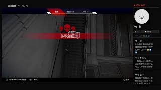 [Apex legends]ps4  エンジョイ親子ランク配信！プラチナ4