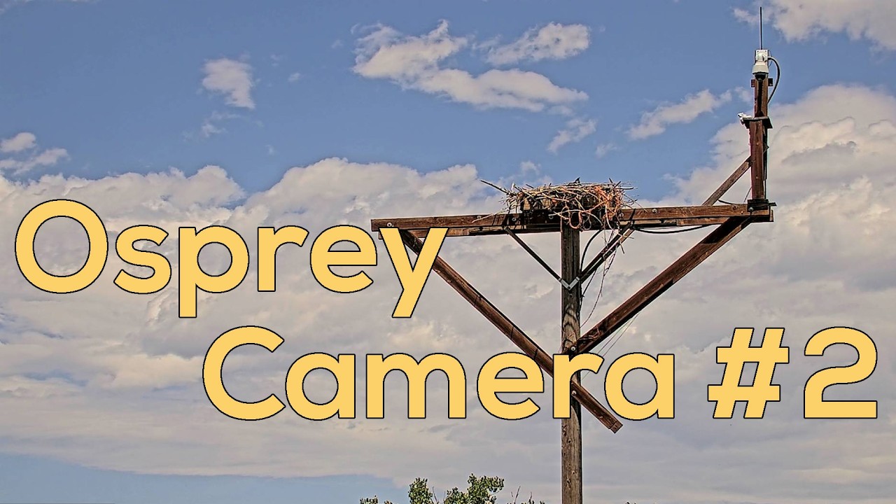 Live webcam view of St. Vrain Creek Osprey Overlook