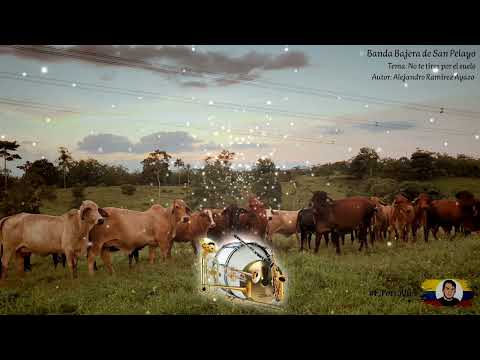 No te tires por el Suelo - Banda Bajera de San Pelayo