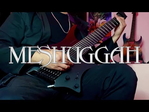 MESHUGGAH - Born in Dissonance (full cover with solo)