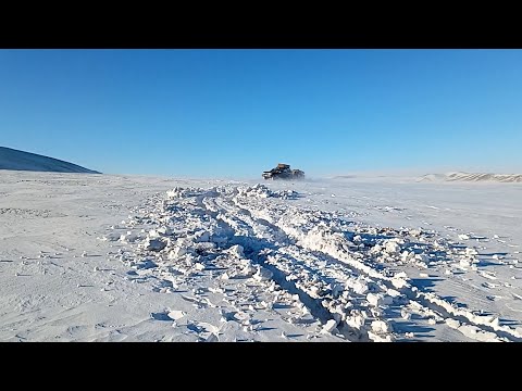 Аймаг, сумдад улсын нөөцөөс өвс, тэжээл олгохоор боллоо