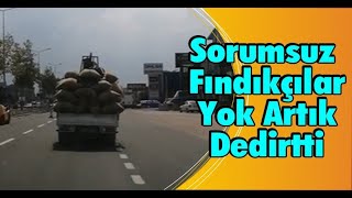 Sorumsuz Fındıkçılar, Yok Artık Dedirtti