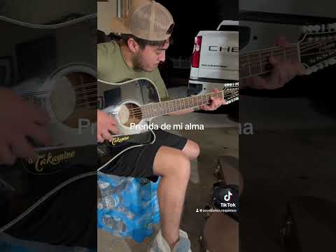 De Las Entrañas De Mi Alma - Los Alegres de la…