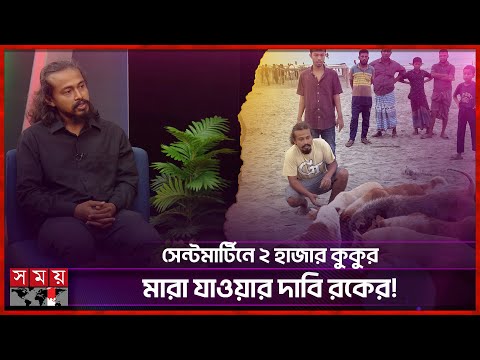 কান্নাভেজা কন্ঠে প্রশ্ন, কুকুরগুলো যাবে কোথায়? | Md Abdul Kaium | Animal lover | Somoy Entertainment