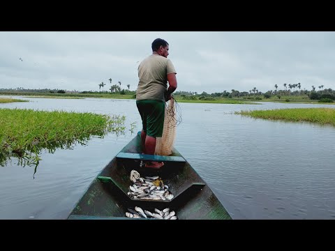 Pescaria no Bacuri, povoado Santa Joana Vitória do Mearim Maranhão 