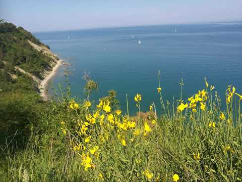 Hervin Jakončič - Štopajva tja do morja