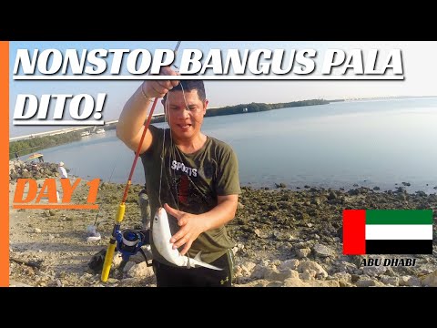 HOW TO CATCH MILKFISH/Bangus [Day 1]