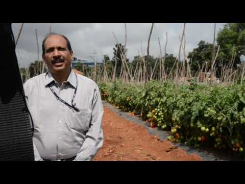 Interview by Dr.A.T.Sadashiva