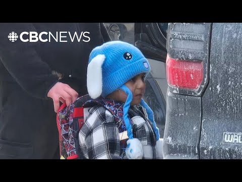 Backlash in Minnesota after ICE detains 5-year-old boy coming home from preschool